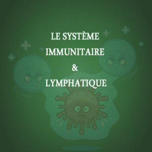 Le Système Immunitaire & Lymphatique