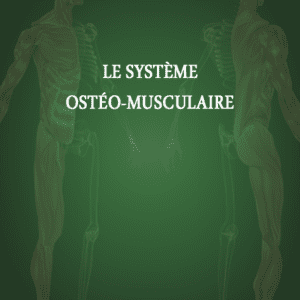 Le Système Ostéo Musculaire