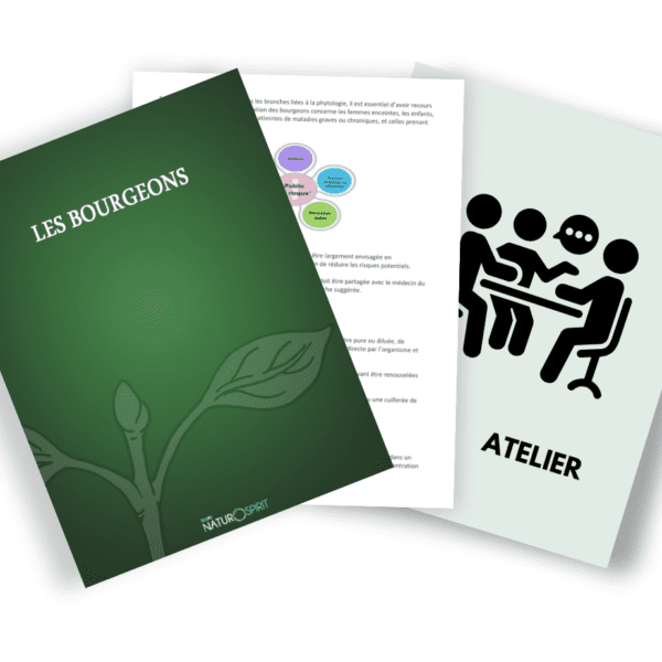 Atelier de formation | Les Bourgeons