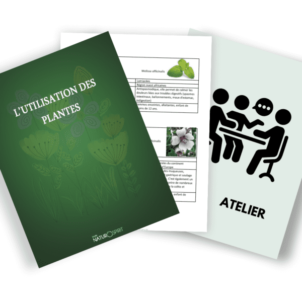 Atelier de formation | L’Utilisation Des Plantes